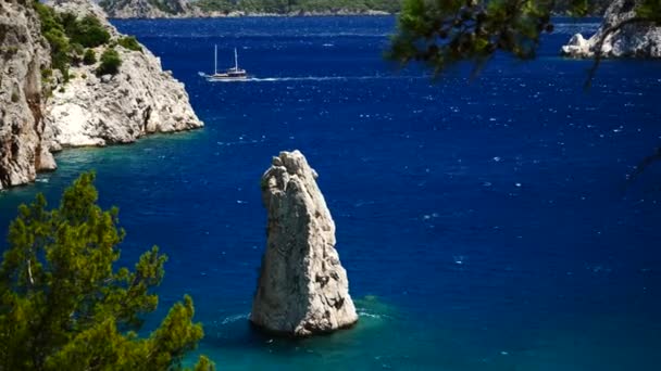 Sailboat at sea with pine trees in the foreground — Stock Video