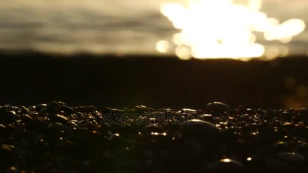 Weerspiegeling van zonsopgang op de stenen en zand op het strand Turkije — Stockvideo