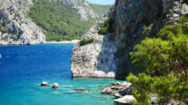 Mavi deniz arka plan Türkiye ile çam ağacı