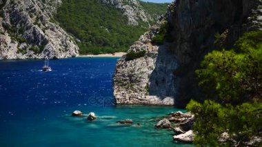 Mavi deniz arka plan Türkiye ile çam ağacı