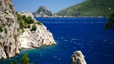 Mavi deniz arka plan Türkiye ile çam ağacı