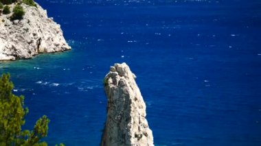 Mavi deniz arka plan Türkiye ile çam ağacı