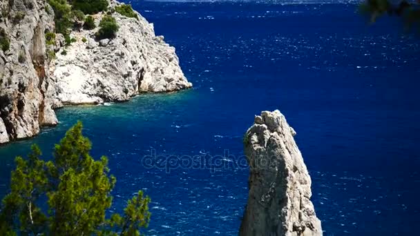 青い海背景トルコと松の木 — ストック動画
