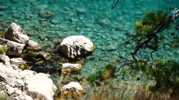 Borovice s pozadím modré moře Turecko — Stock video