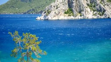 Mavi deniz arka plan Türkiye ile çam ağacı