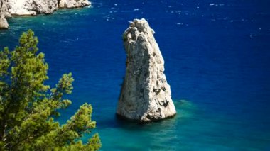 Mavi deniz arka plan Türkiye ile çam ağacı