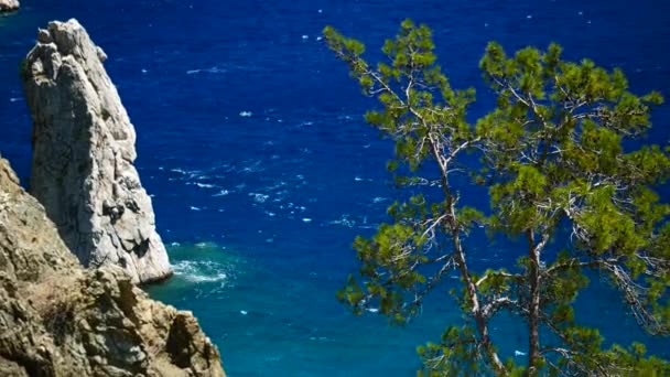 Pijnboom met blauwe zee achtergrond Turkije — Stockvideo