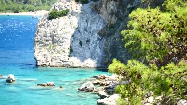 Pijnboom met blauwe zee achtergrond Turkije — Stockvideo