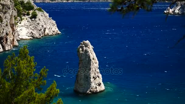 Kiefer mit blauem Meer Hintergrund Truthahn — Stockvideo