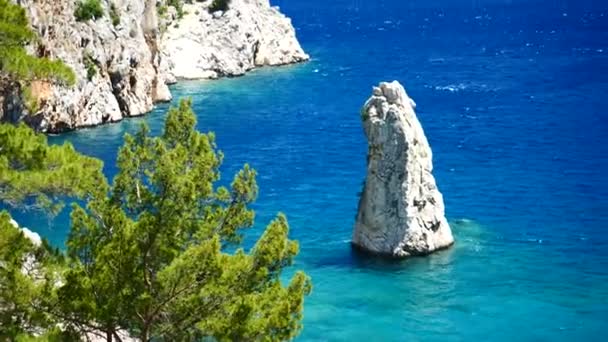 Pijnboom met blauwe zee achtergrond Turkije — Stockvideo