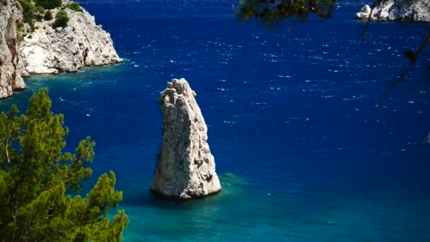 松树与蔚蓝的大海背景土耳其 — 图库视频影像