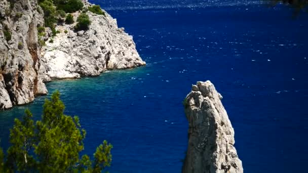 Borovice s pozadím modré moře Turecko — Stock video