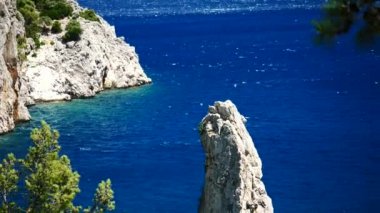 Mavi deniz arka plan Türkiye ile çam ağacı