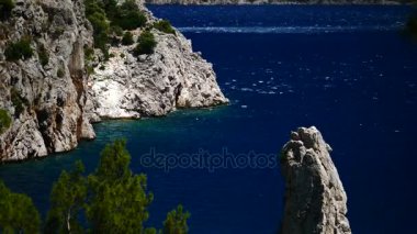 Mavi deniz arka plan Türkiye ile çam ağacı