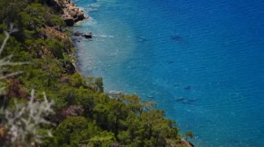 Mavi deniz laguna arka plan Türkiye ile çam ağacı