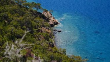 Mavi deniz laguna arka plan Türkiye ile çam ağacı