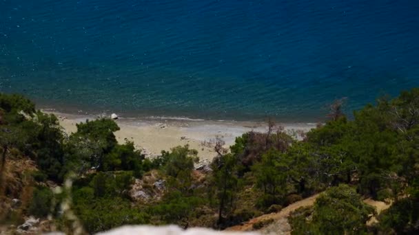 青い海ラグーナ背景トルコと松の木 — ストック動画