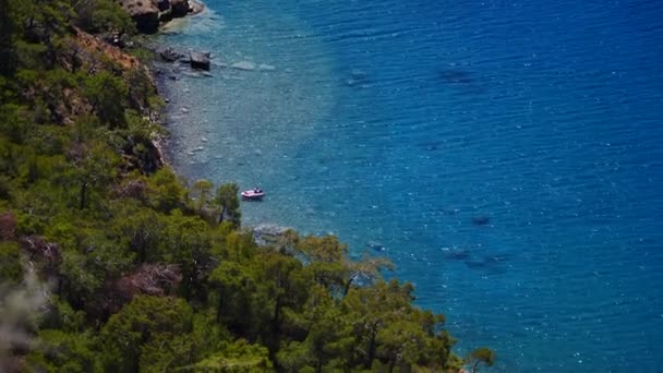 Pijnboom met blauwe zee laguna achtergrond Turkije — Stockvideo