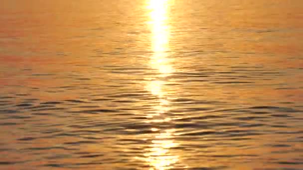 Reflejo del amanecer sobre las olas del mar Turquía — Vídeo de stock