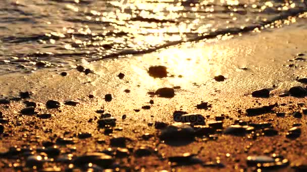 Seacost ritmus a homok, a hullám a tenger partján, a naplemente — Stock videók