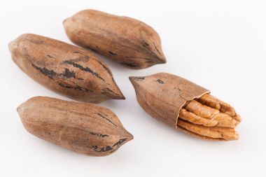 Beyaz arka planda izole edilmiş fındık