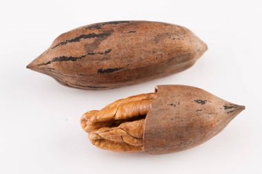 Beyaz arka planda izole edilmiş fındık