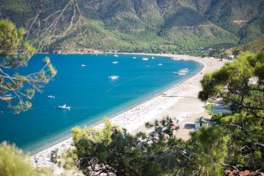 Mavi deniz laguna arka plan Türkiye ile çam ağacı