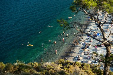 Mavi deniz laguna arka plan Türkiye ile çam ağacı