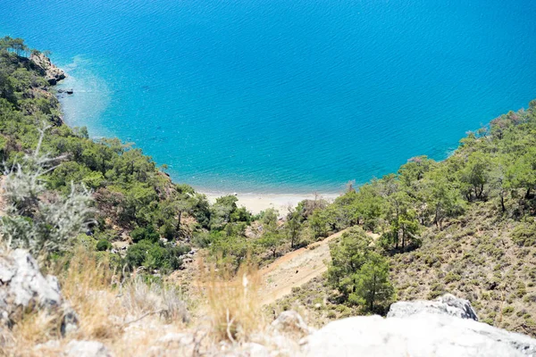 松树与蔚蓝的大海拉古娜背景土耳其 — 图库照片