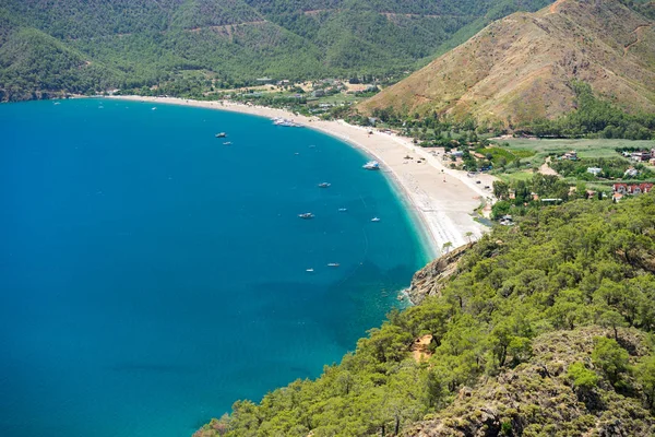 Mavi deniz laguna arka plan Türkiye ile çam ağacı