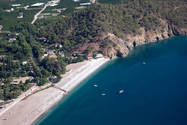 Сосна с голубым морем лагуна параглайдинг фоне Турции — стоковое фото