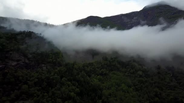 Uitzicht op Fjord en water vanaf drone op lucht Noorwegen — Stockvideo