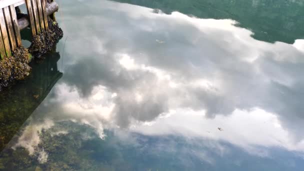挪威-理想峡湾倒映在清澈的水 — 图库视频影像