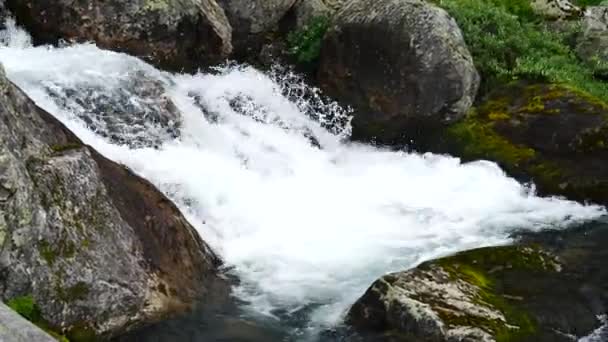 Wasserfall in den Bergen Norwegens bei Regenwetter. — Stockvideo