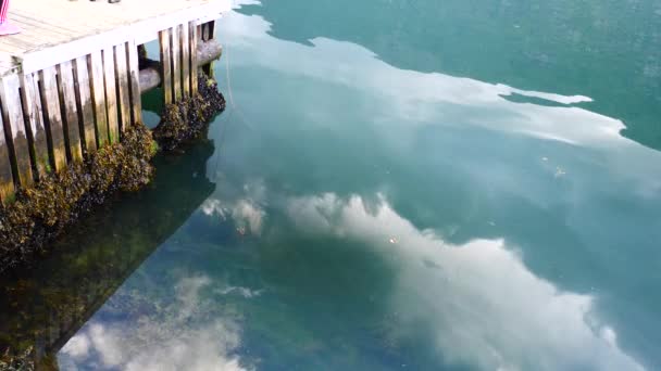 Noorwegen - ideale fjord reflectie in helder water — Stockvideo