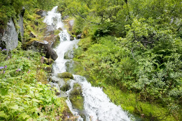 Cascata nelle montagne della Norvegia in caso di pioggia . — Foto Stock