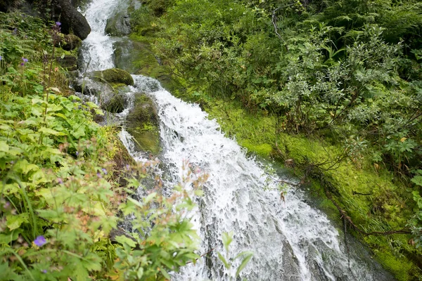 雨の日ノルウェーの山の中の滝. — ストック写真