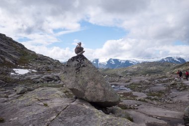 Cliff ve Norveç Fiyordu içinde taşlar