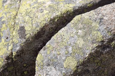 Cliff ve Norveç Fiyordu içinde taşlar