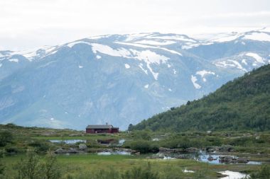 Cliff ve Norveç Fiyordu içinde taşlar