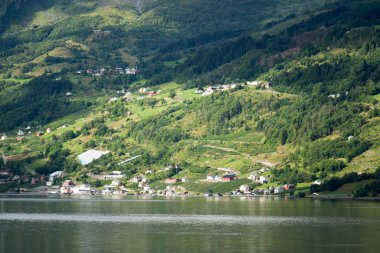 Orman Norveç dağlarında Yağmurlu hava