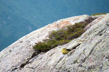 Norveç'te en dar fiyort görünümü