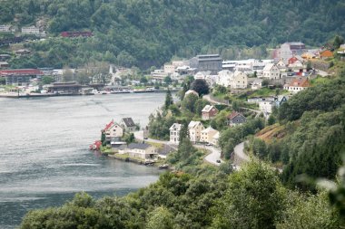 Orman Norveç dağlarında Yağmurlu hava