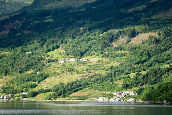 Orman Norveç dağlarında Yağmurlu hava