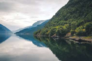 Fiyort ve su görünümünden dron Norveç'te