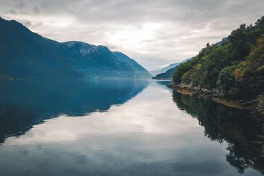 Fiyort ve su görünümünden dron Norveç'te