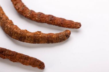 Cordyceps sinesis Yartsa Gunbu Yarsagumba Himalaya altın Nepal izole