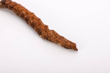 Cordyceps sinesis Yartsa Gunbu Yarsagumba Himalaya altın Nepal izole