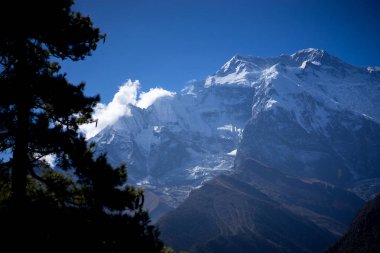 Tepe ve ağaçlar Himalaya dağlarında Annapurna bölge, Nepal