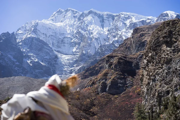 Karlı tepe ve orman Himalaya dağlarında Annapurna bölge, Nepal — Stok fotoğraf